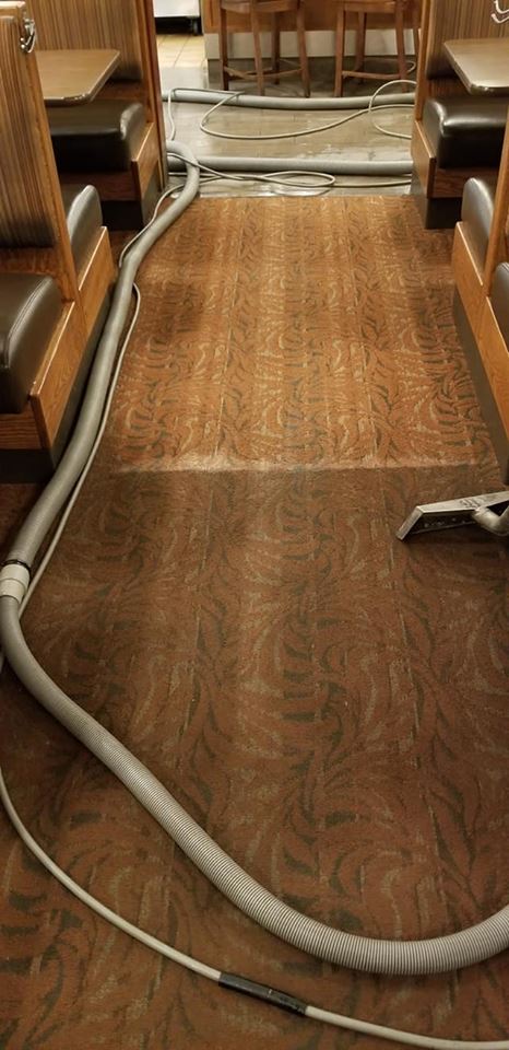 Home and office carpet cleaners in Mansfield OH