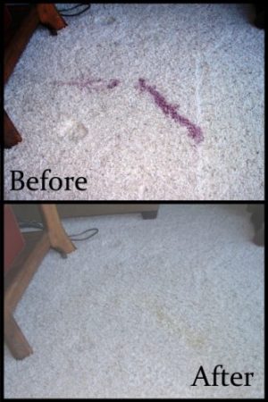 Carpet cleaning services in the Galion OH area