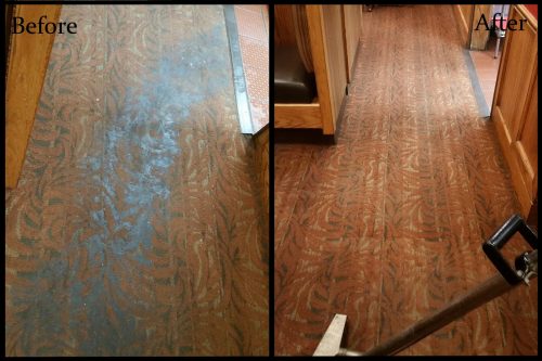 carpet steam cleaning before and after photo in Ashland OH